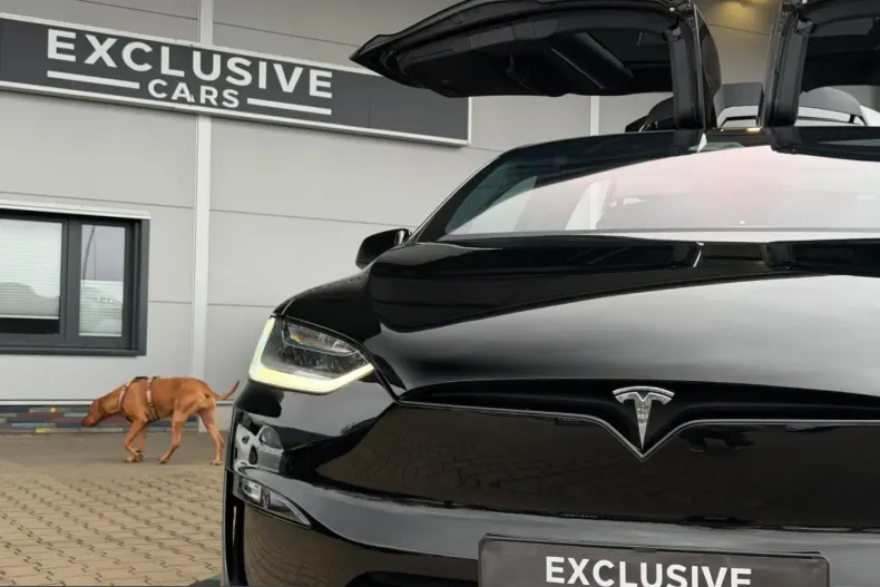 Tesla Model X din 2023 cu 57.999 km - oferta TES205490 - foto 41