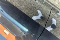 Lynk & Co 01 din 2024 cu 25.583 km - oferta LYN205540 - foto 31