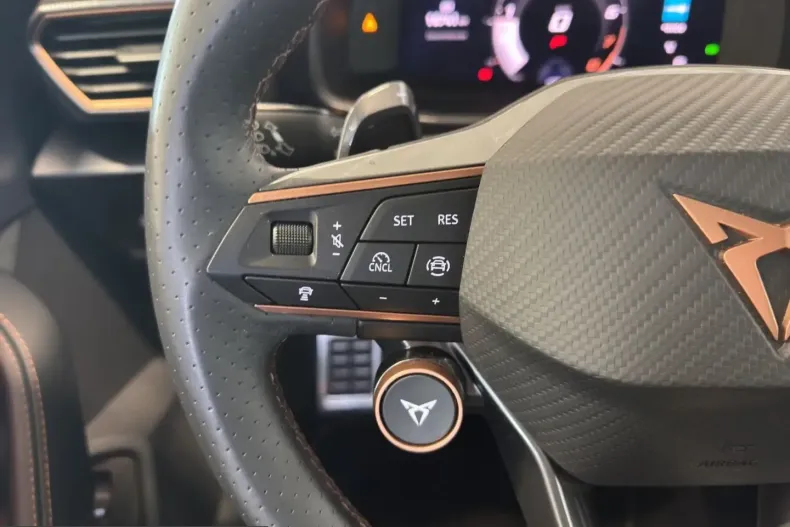 Cupra Formentor din 2025 cu 16.800 km - oferta CUP205577 - foto 15