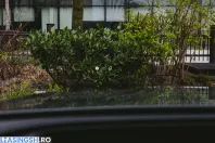 Mercedes-Benz GLC din 2023 cu 58.000 km - oferta MER206376 - foto 35