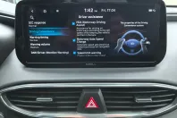 Hyundai Santa Fe din 2021 cu 101.750 km - oferta HYU206407 - foto 19