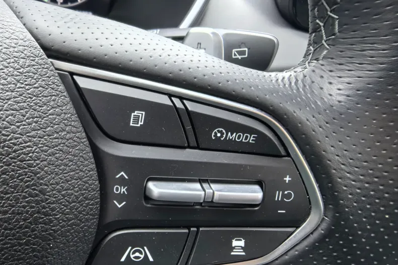 Hyundai Santa Fe din 2021 cu 101.750 km - oferta HYU206407 - foto 32