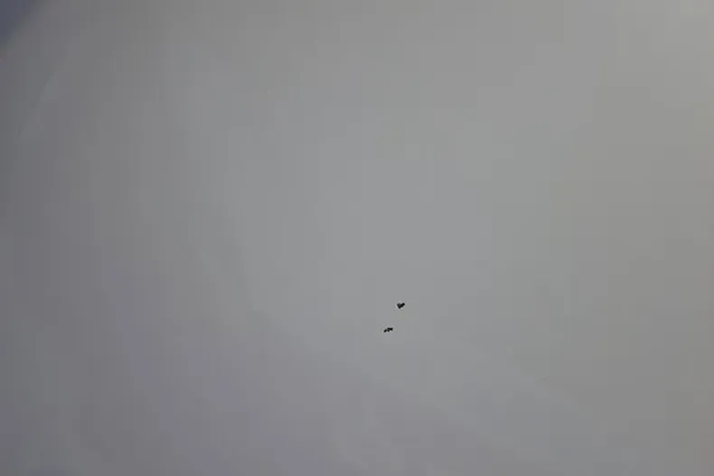 Tesla Model S din 2023 cu 82.185 km - oferta TES206469 - foto 19