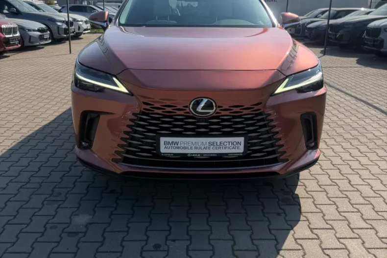 Lexus Seria RX din 2022 cu 52.103 km - oferta LEX206479 - foto 8