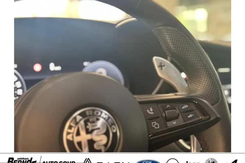 Alfa Romeo Giulia din 2024 cu 13.922 km - oferta ALF206988 - foto 19