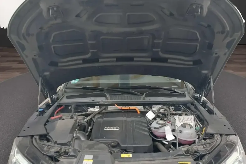 Audi Q1 din 2023 cu 129.500 km - oferta AUD207824 - foto 13