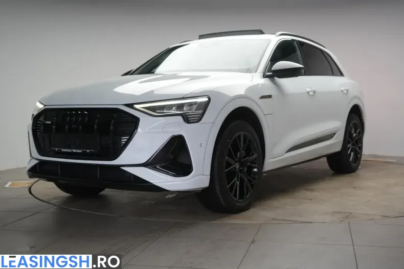 Audi e-tron din 2022 cu 77.000 km - oferta AUD207843 - foto 34