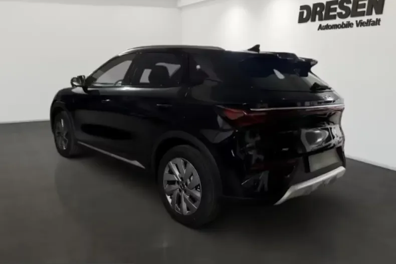 BYD ATTO 3 din 2026 cu 20 km - oferta BYD208046 - foto 2