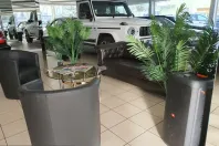 Tesla Model S din 2024 cu 56.555 km - oferta TES208121 - foto 4