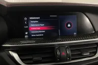 Alfa Romeo Stelvio din 2021 cu 69.510 km - oferta ALF208599 - foto 21