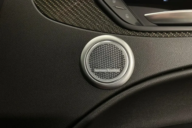 Alfa Romeo Stelvio din 2021 cu 69.510 km - oferta ALF208599 - foto 25
