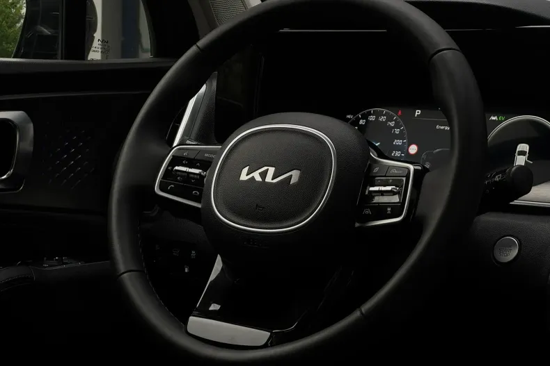 Kia Sorento din 2022 cu 167.172 km - oferta KIA209442 - foto 21