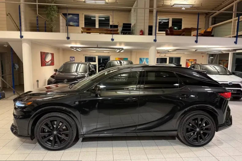Lexus RX 500 din 2025 cu 20 km - oferta LEX209516 - foto 11