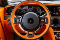 Rolls-Royce Spectre din 2025 cu 2.500 km - oferta ROL211310 - foto 25