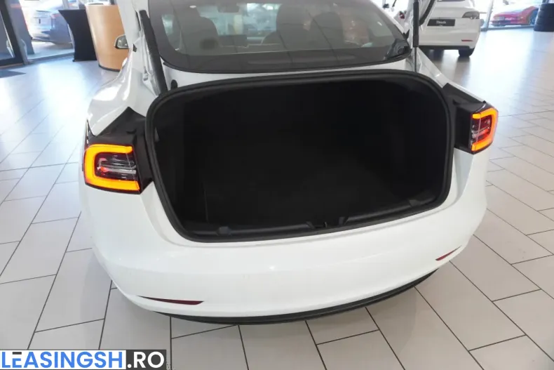 Tesla Model 3 din 2021 cu 53.300 km - oferta TES211544 - foto 10