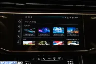 Audi Q8 din 2025 cu 30.100 km - oferta AUD211931 - foto 21