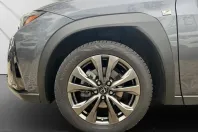 Lexus UX din 2024 cu 16.374 km - oferta LEX212471 - foto 20