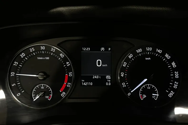 Skoda Octavia din 2021 cu 142.110 km - oferta SKO212906 - foto 28