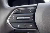 Hyundai Santa Fe din 2020 cu 163.032 km - oferta HYU213543 - foto 38