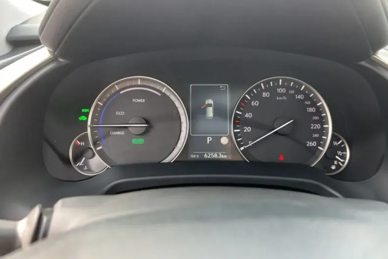 Lexus RX 450 din 2022 cu 76.257 km - oferta LEX215024 - foto 11