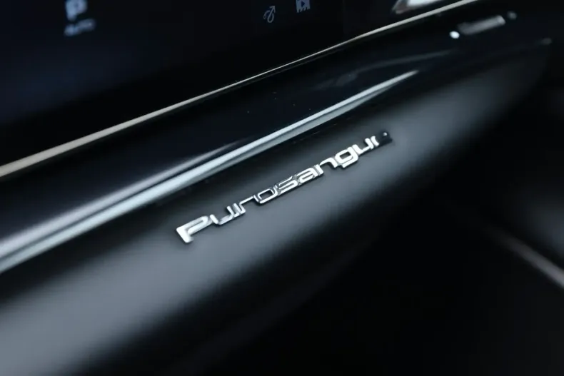 Ferrari Purosangue din 2025 cu 1.600 km - oferta FER215563 - foto 24