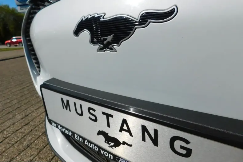 Ford Mustang Mach-E din 2023 cu 63.000 km - oferta FOR215989 - foto 2