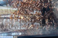 BMW X7 (Seria X) din 2023 cu 66.500 km - oferta BMW216255 - foto 28