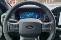 Ford F 150 din 2025 cu 4.079 km - oferta FOR216520 - foto 17