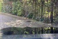 BMW X4 (Seria X) din 2021 cu 69.492 km - oferta BMW217350 - foto 12