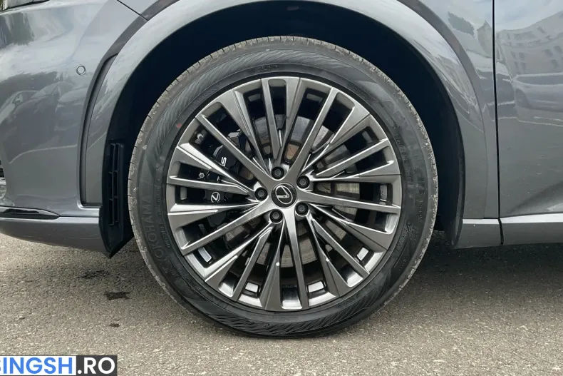 Lexus Seria RX din 2023 cu 49.937 km - oferta LEX218004 - foto 12
