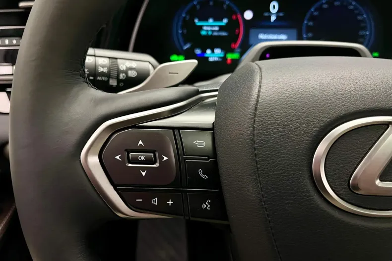 Lexus Seria RX din 2025 cu 2.500 km - oferta LEX218134 - foto 30