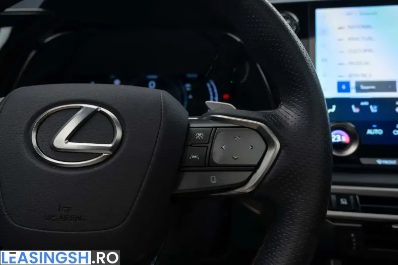 Lexus RX 500 din 2024 cu 14.256 km - oferta LEX218333 - foto 21