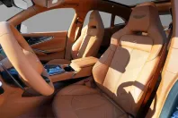 Aston Martin DBX din 2026 cu 100 km - oferta AST218421 - foto 16