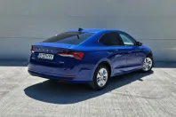 Skoda Octavia din 2021 cu 114.833 km - oferta SKO219396 - foto 20