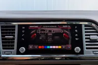 Cupra Ateca din 2020 cu 123.156 km - oferta CUP219582 - foto 21