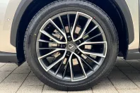 Lexus Seria NX din 2025 cu 797 km - oferta LEX219823 - foto 29