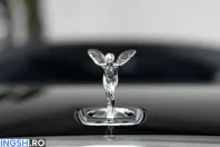 Rolls-Royce Spectre din 2024 cu 17.600 km - oferta ROL221545 - foto 9