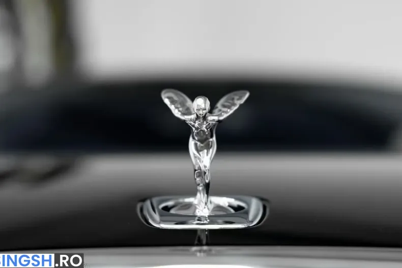 Rolls-Royce Spectre din 2024 cu 17.600 km - oferta ROL221545 - foto 9