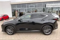 Lexus NX 350h din 2025 cu 2.990 km - oferta LEX221960 - foto 8