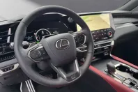 Lexus RX 500 din 2026 cu 10 km - oferta LEX221965 - foto 19