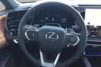 Lexus RX 450 din 2026 cu 10 km - oferta LEX221981 - foto 13