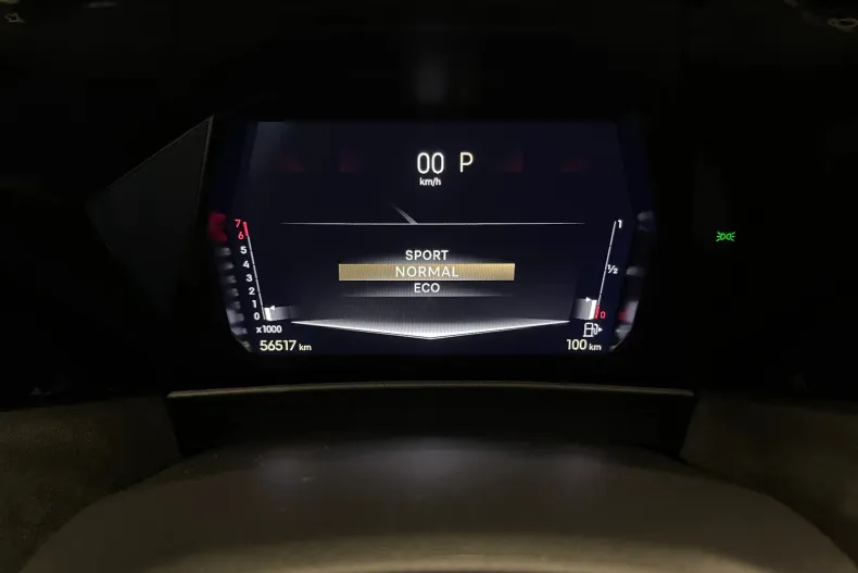DS Automobiles DS 4 din 2022 cu 56.517 km - oferta DSA222251 - foto 35