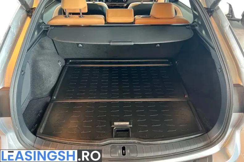 Lexus Seria RX din 2023 cu 48.800 km - oferta LEX222677 - foto 23