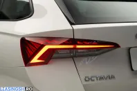 Skoda Octavia din 2022 cu 167.000 km - oferta SKO222866 - foto 13