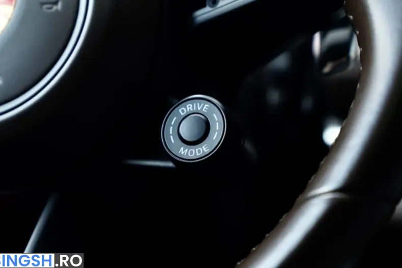 Porsche Panamera din 2022 cu 47.012 km - oferta POR222894 - foto 14