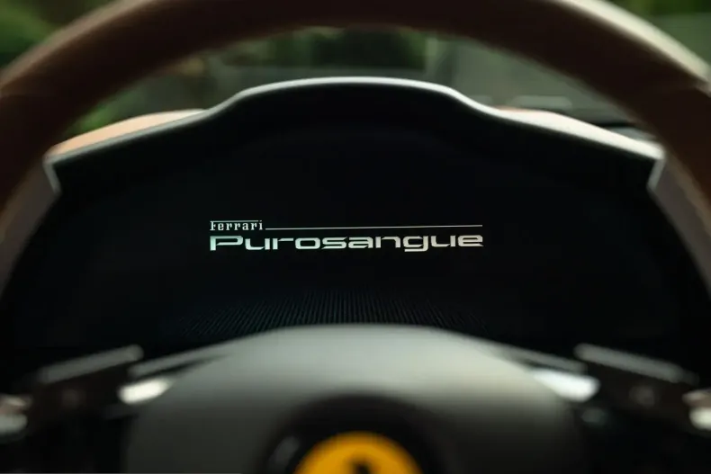 Ferrari Purosangue din 2025 cu 2.392 km - oferta FER224303 - foto 40