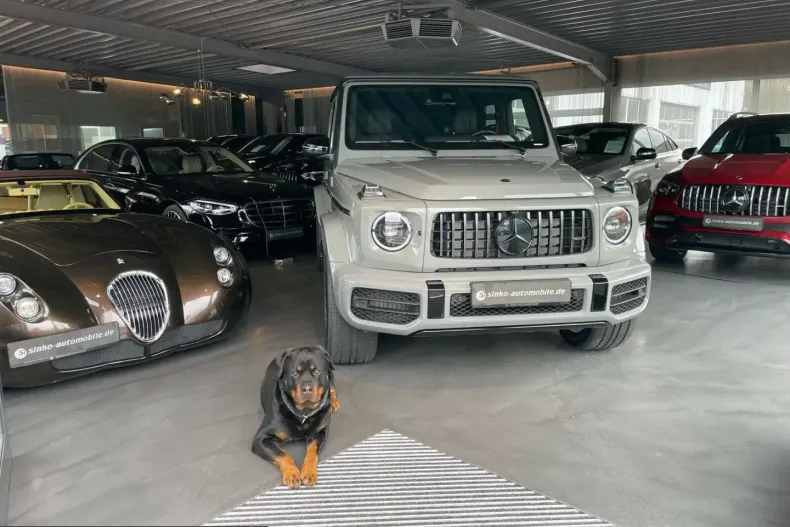 Mercedes-Benz G 500 (Clasa G) din 2024 cu 7.000 km - oferta MER224522 - foto 37