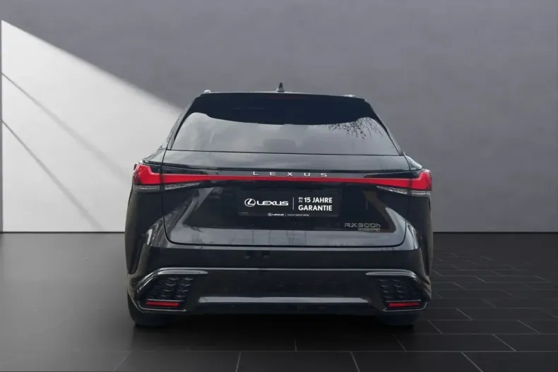 Lexus RX 500 din 2023 cu 45.918 km - oferta LEX225611 - foto 4