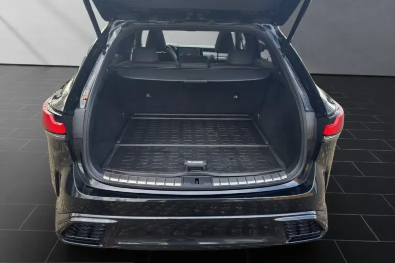 Lexus RX 500 din 2023 cu 45.918 km - oferta LEX225611 - foto 19