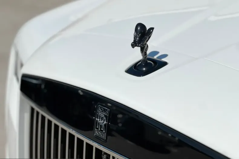 Rolls-Royce Cullinan din 2025 cu 14.200 km - oferta ROL225870 - foto 7